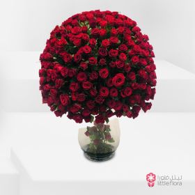 Hearty Feelings - 500 Rose