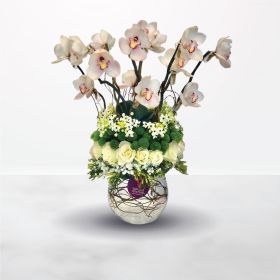 Day Dream, Birthday, Anniversary, Housewarming, New-Baby, baby, new-born, grad, congrats, Graduation, Thank-You, Get-Well, Miss-You, Wedding, Congratulations, Best Wishes, Mother's-Day, Father's-Day, vase, white, green, Chrysanthemum, Cymbidium, Rose, for