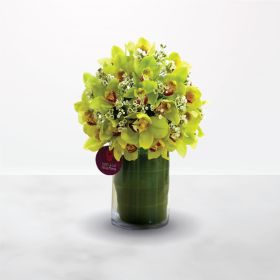 timeless beauty, green, vase, cymbidium, Housewarming, Thank You, Congratulations, Best Wishes, Teacher's Day, Father's Day, for him, for her, unisex, female, male, father, teacher, saudi, ksa, delivery, online, sameday, same-day, flowers, flora, flow, fl