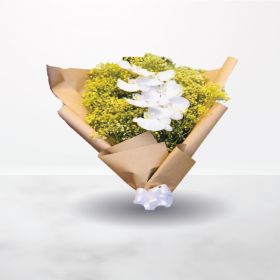 Sunrays, Best-Wishes, Congratulations, Eid Al-Adha, Fathers-Day, Get-Well, Graduation, Teachers-Day, Thank-You, father, teacher, congrat, white, yellow, for him, for her, unisex, male, female, hand, bouquet, hand bouquet, gypsophila, orchid, phalaenopsis,