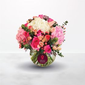 Admiration & Love, mother, Best-Wishes, Birthday, Congratulations, Get-Well, Graduation, Mother's-Day, New-Baby, Teacher's-Day, Thank-You, pink, white, rose, roses, hydrangea, peach, vase, for her, female, pink-october, breast-cancer, breast-cancer-awaren