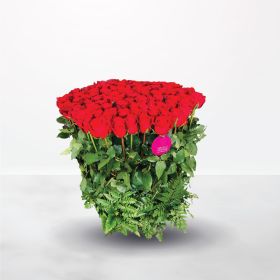 Bunch of Love, red, rose, roses, red-roses, hand, hand bouquet, unisex, female, male, for him, for her, Valentine's Day, Miss You, Love, Anniversary, Engagement, saudi, ksa, delivery, online, sameday, same-day, flowers, flora, flow, floral, florist, saudi