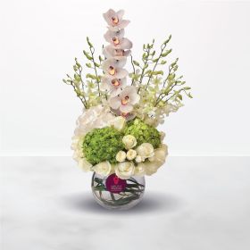 Bright MoonLight, Birthday, Anniversary, Housewarming, Graduation, Thank You, Get Well, Miss You, Wedding, Congratulations, Best Wishes, Engagement, Eid Al-Adha, Father's Day, white, green, vase, for him, for her, female, male, unisex, rose, orchid, cymbi