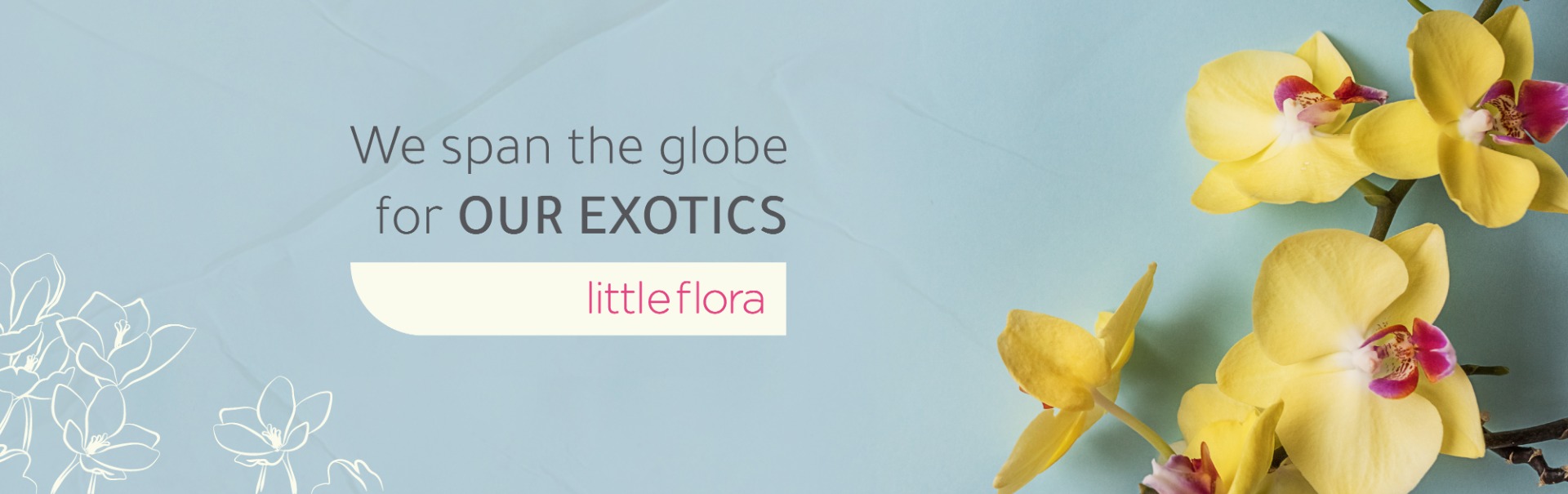 Little Flora Same day Delivery Buy Flower Online Riyadh, Jeddah