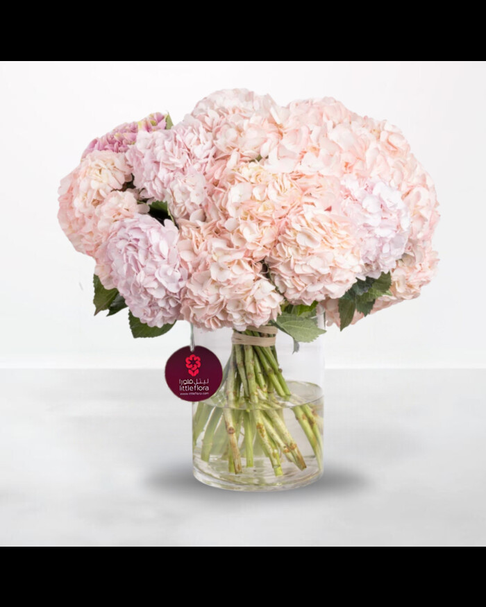 Pink Hydrangea - 20 stems