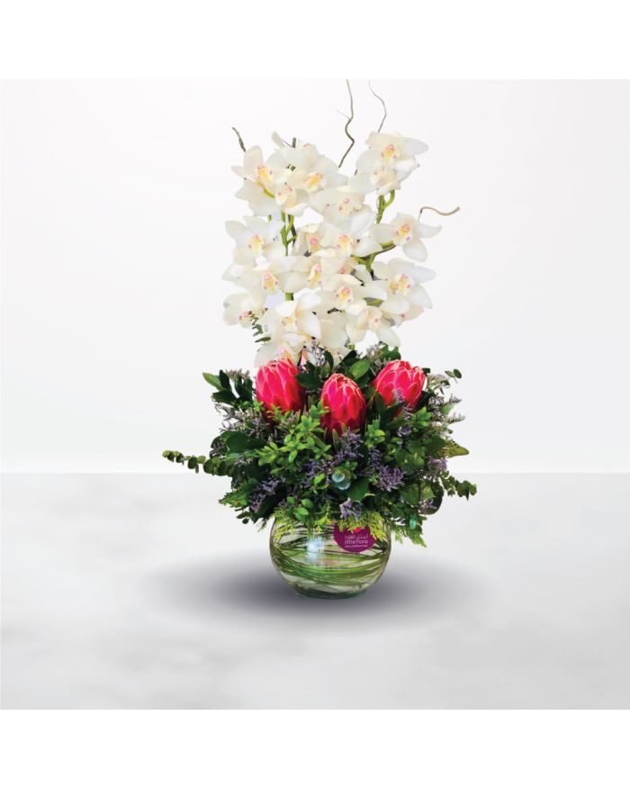 Together at Twilight